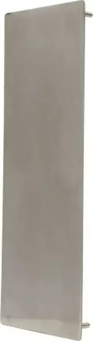 606/401 - 300 x 100mm Confix Push Plate - SS