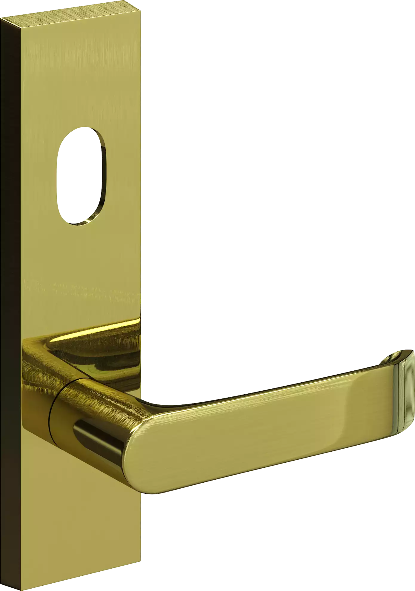 702 - #12 Leo - Ext Lev + Cyl Hole - PB