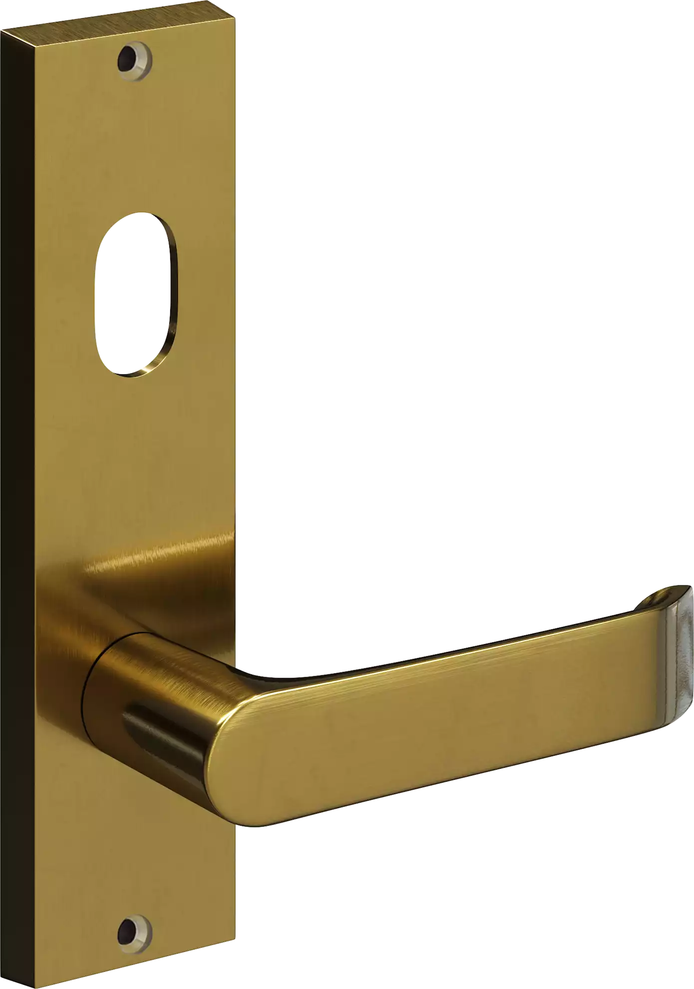 711 - #12 Leo - Int Lev + Cyl Hole - SB