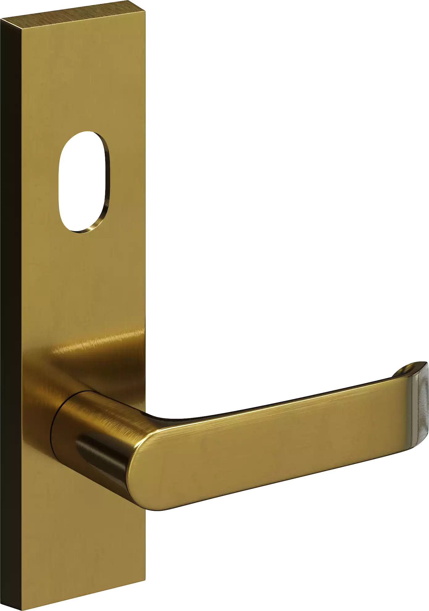 702 - #12 Leo - Ext Lev + Cyl Hole - SB