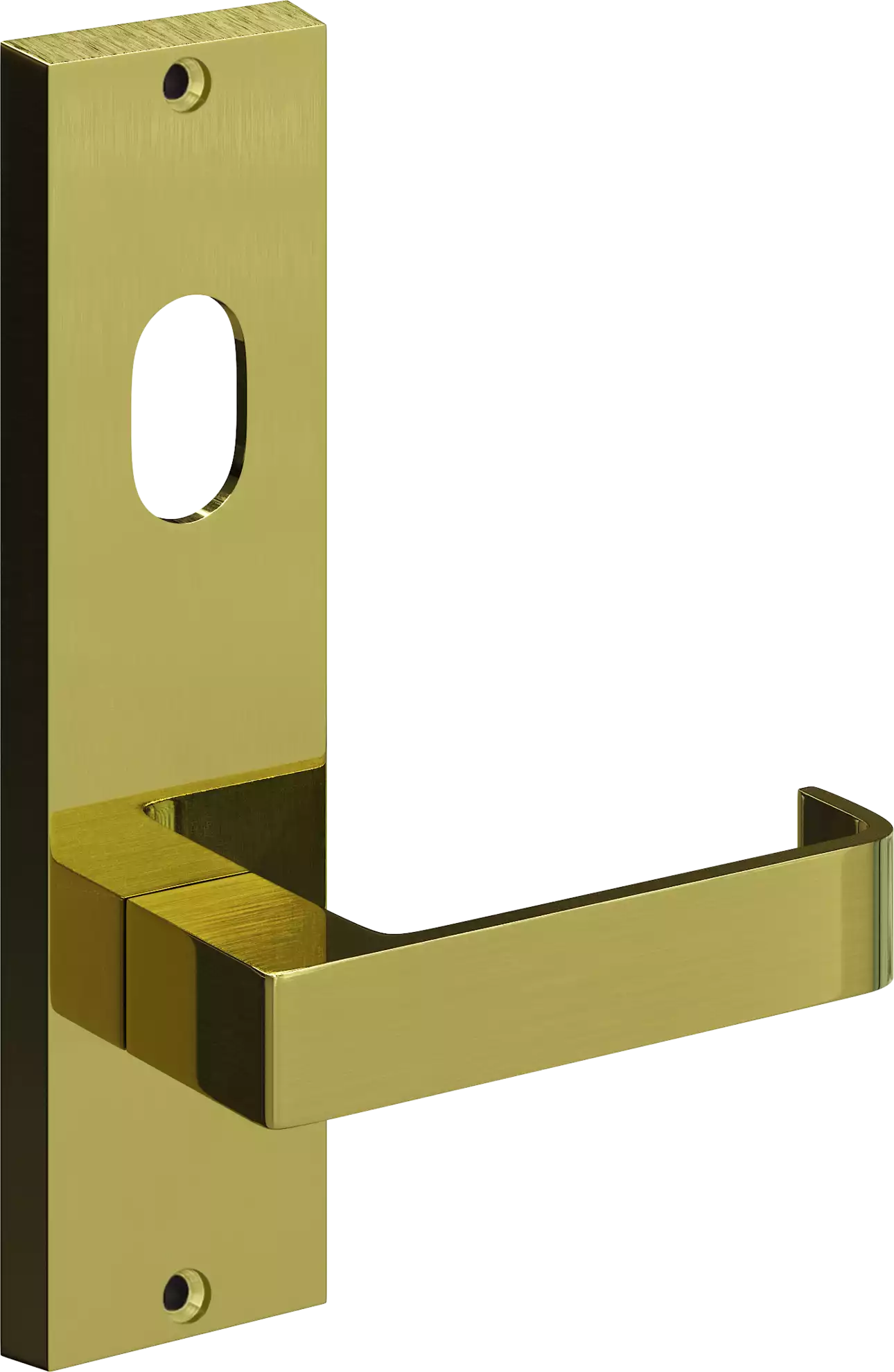 711 - Bergen - Int Lev + Cyl Hole - PB