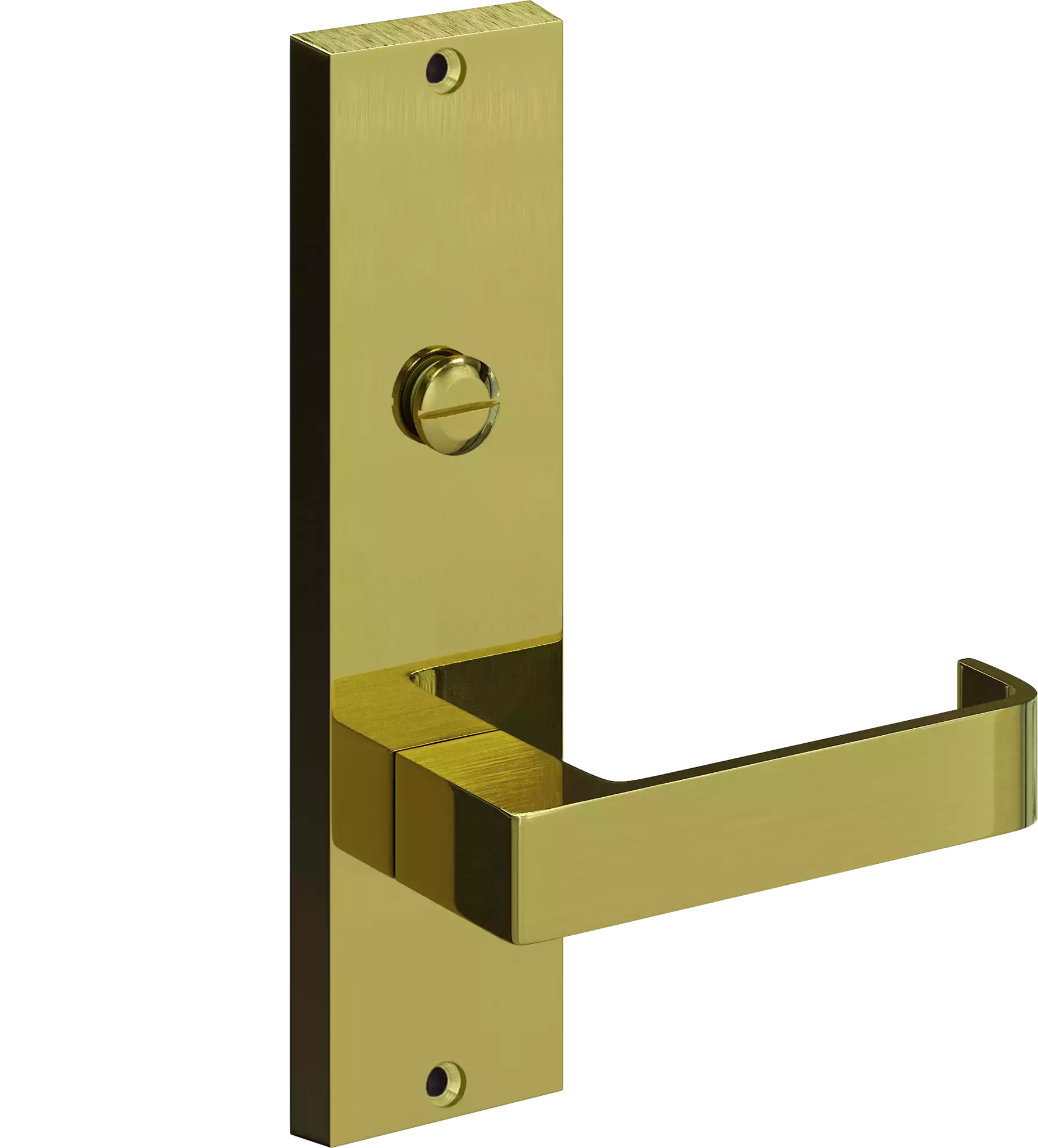 713 - Bergen - Int Lev + Emer Release - PB