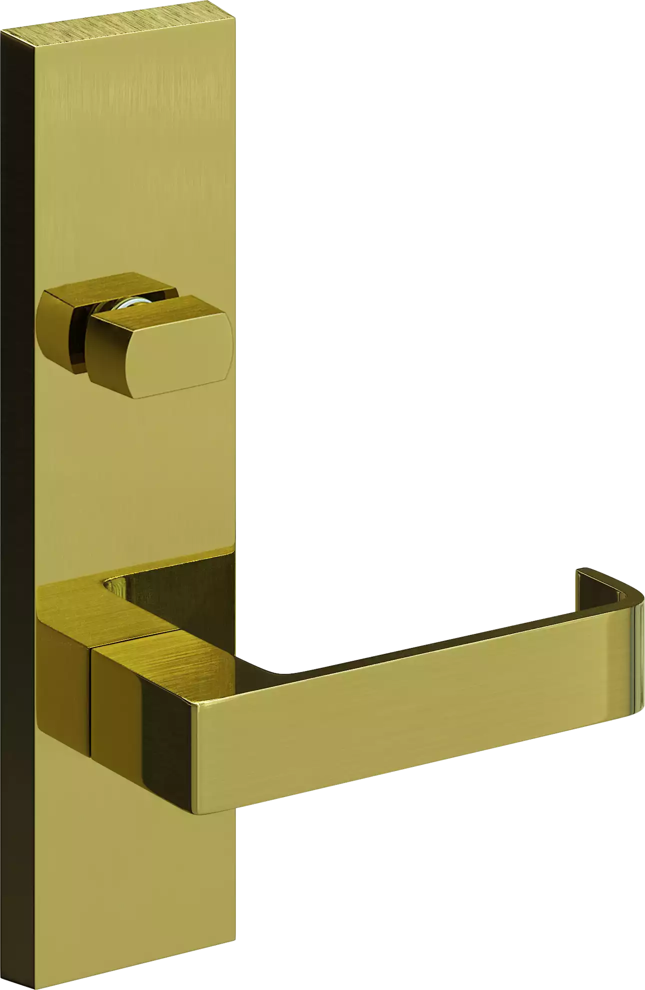 705 - Bergen - Ext Lev + Turn Knob - PB