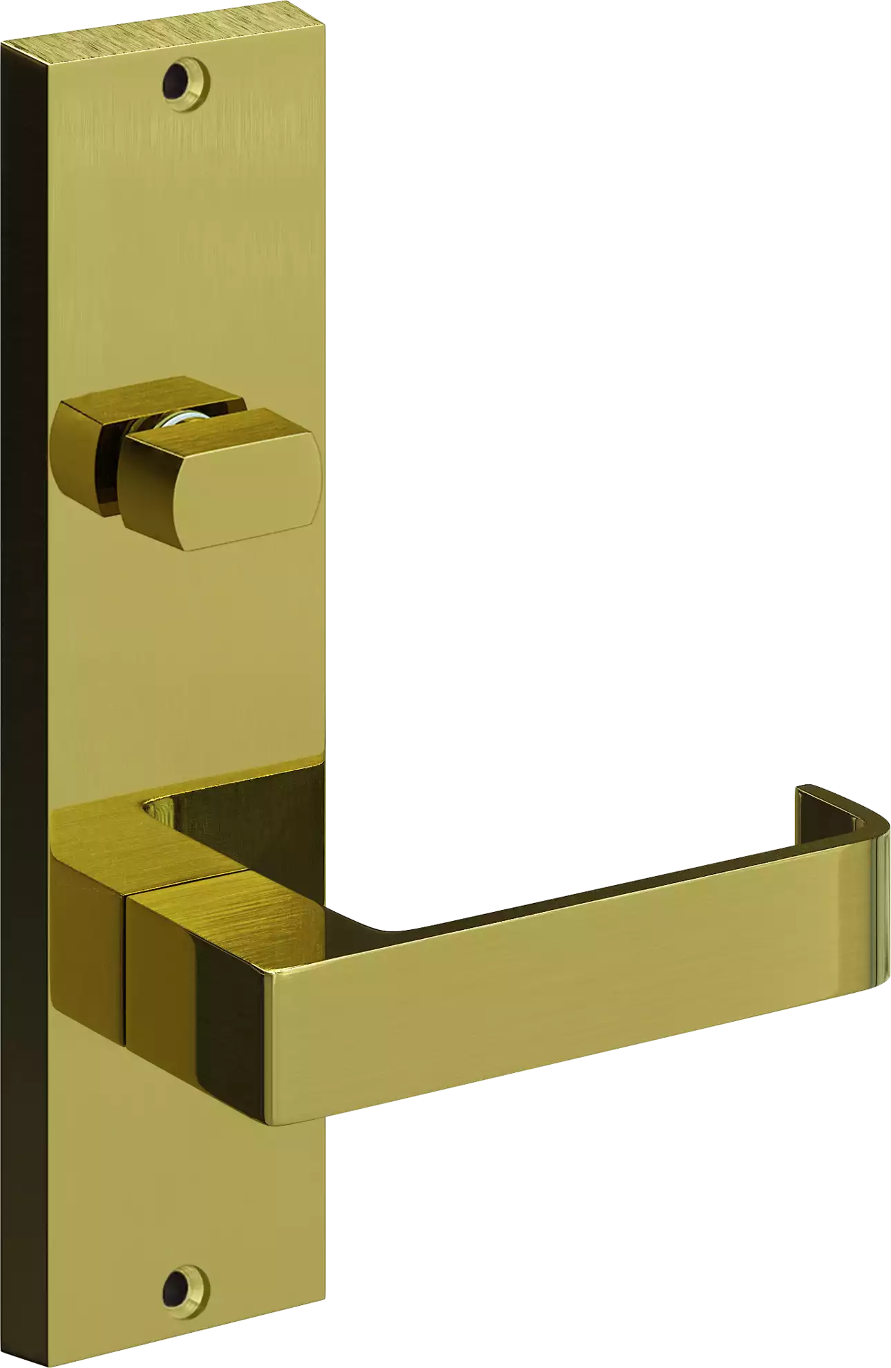 714 - Bergen - Int Lev + Turn Knob - PB