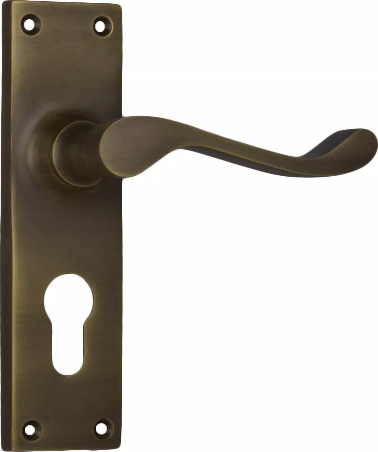 Victorian Lever - Long Backplate - Euro Pair - AB