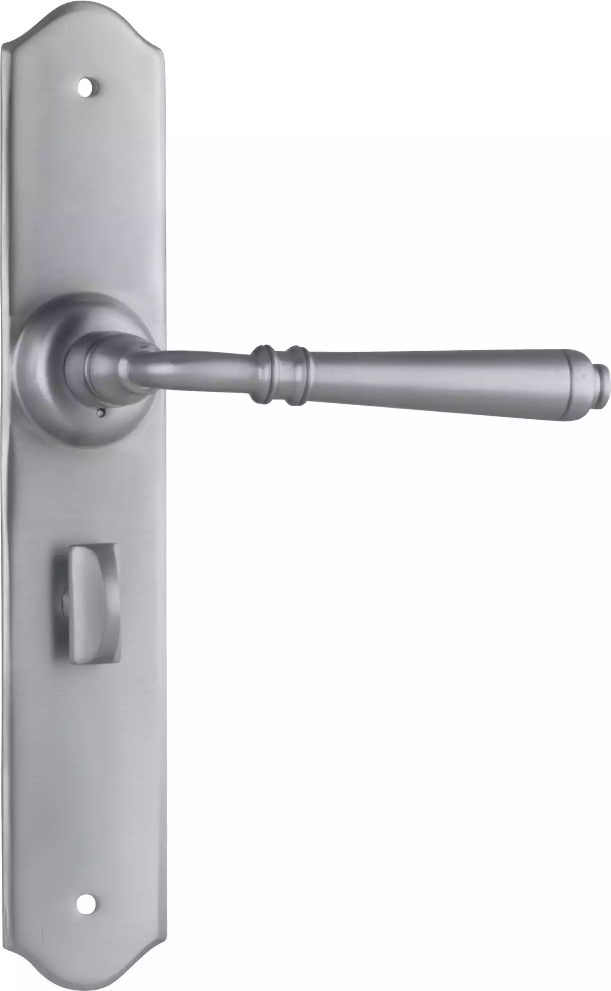 Reims Lever - Long Backplate - Privacy Pair - SC