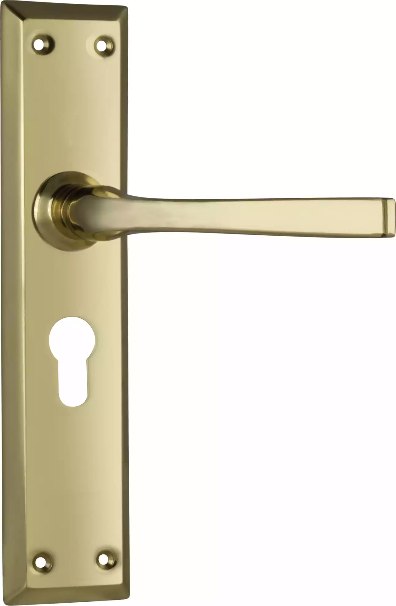 Menton Lever - Long Backplate - Euro Pair - PB