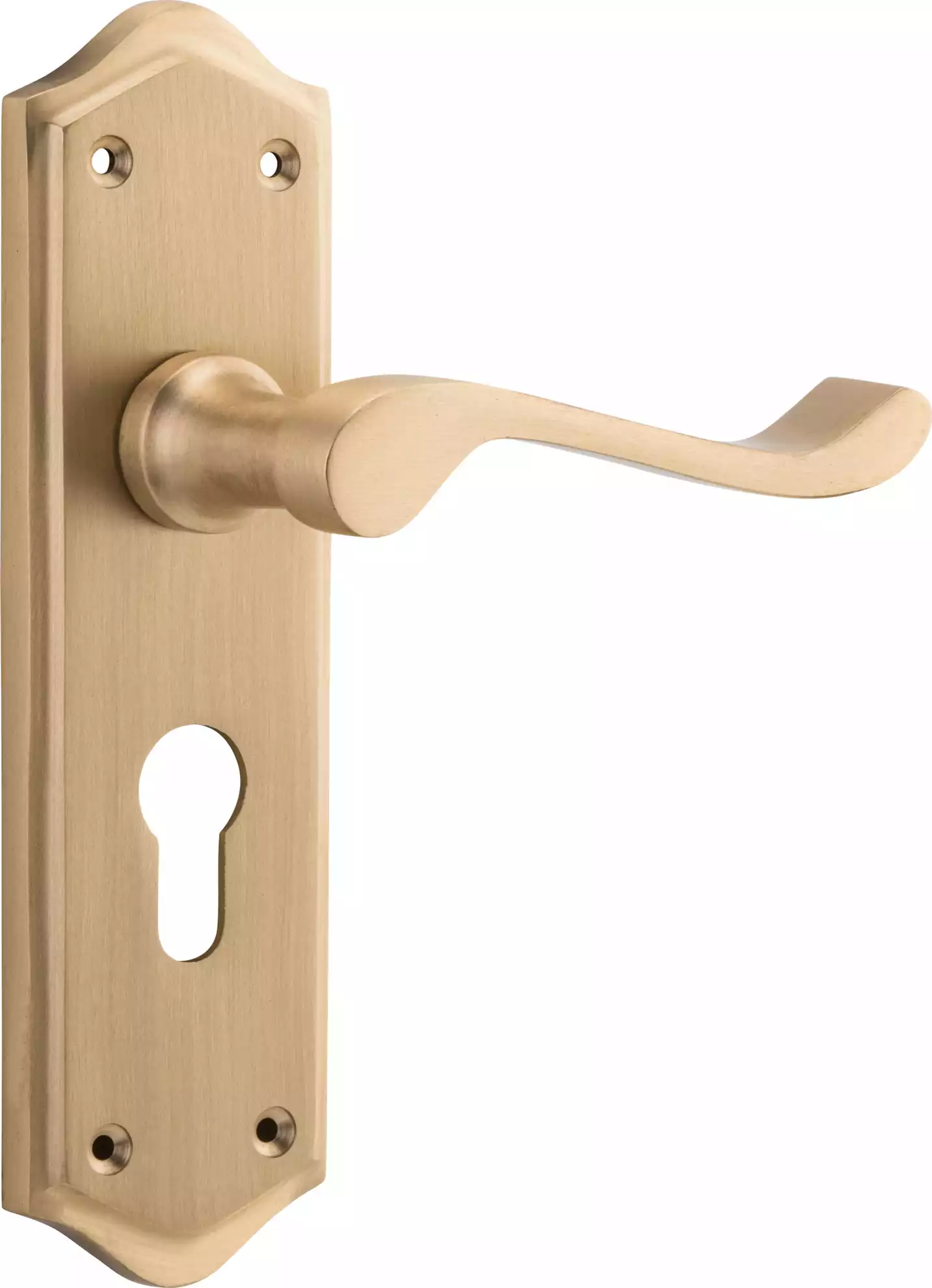 Henley Lever - Long Backplate - Euro Pair - SB