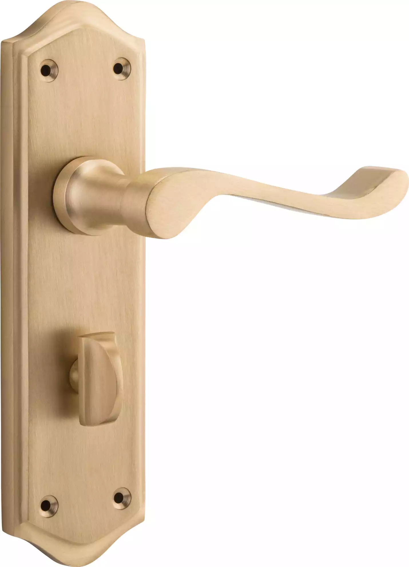 Henley Lever - Long Backplate - Privacy Pair - SB