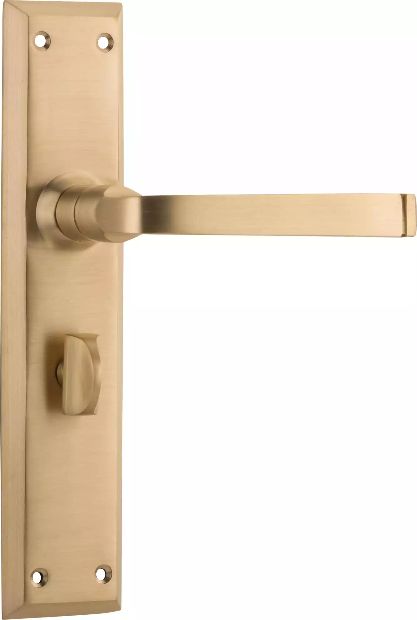 Menton Lever - Long Backplate - Privacy Pair - SB