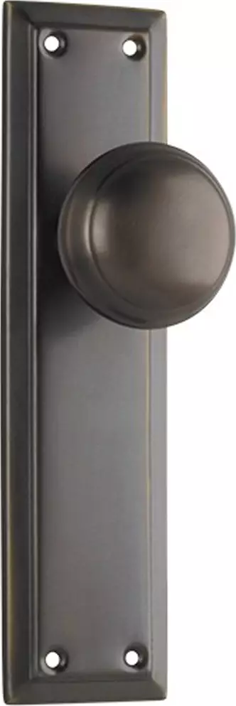 Richmond 200 x 50mm Knob on Blank Plate Set - AB