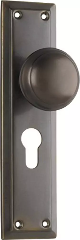 Richmond 200 x 50mm Knob on Euro48 Plate Set - AB