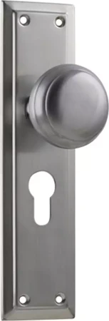 Richmond 200 x 50mm Knob on Euro48 Plate Set - SC
