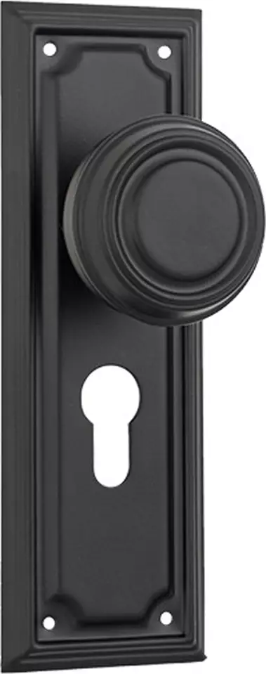 Edwardian 185 x 60mm Knob on Euro48 Plate Set - MB