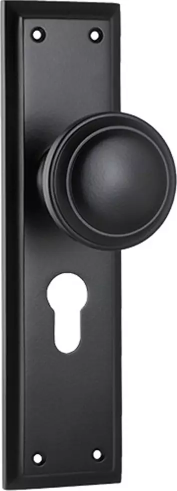 Milton 200 x 50mm Knob on Euro48 Plate Set - MB