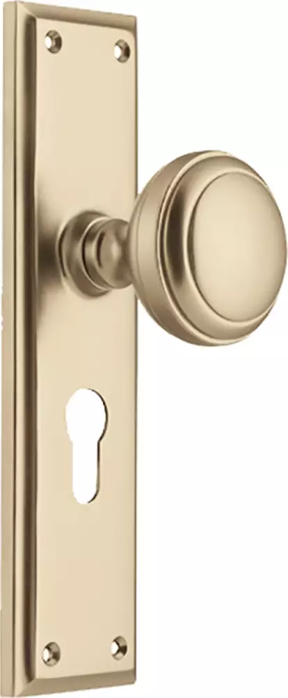 Milton 200 x 50mm Knob on Euro48 Plate Set - SB