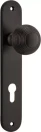 Guildford Knob - Oval Euro Pair - SB