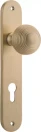 Guildford Knob - Oval Euro Pair - BB