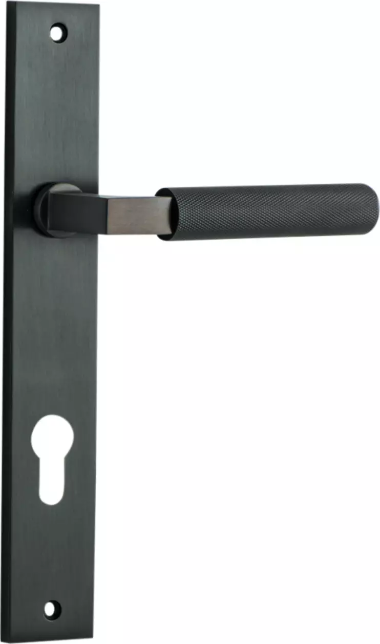 Brunswick Lever - Rectangular Plate