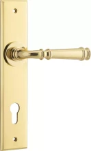 Verona Lever - Chamfered Plate