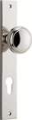 Paddington Knob - Rectangular Euro Pair - PN