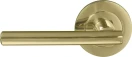 Charleston 64mm Large Rose Dummy Lever - PB