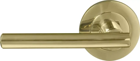 Charleston 64mm Large Rose Dummy Lever - PB