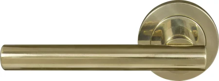 Charleston Round Rose Dummy Lever - PB