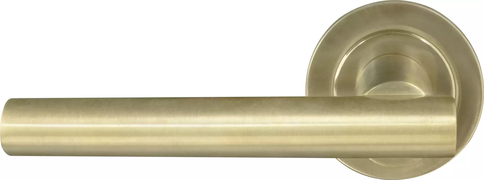 Charleston Round Rose Dummy Lever - USB