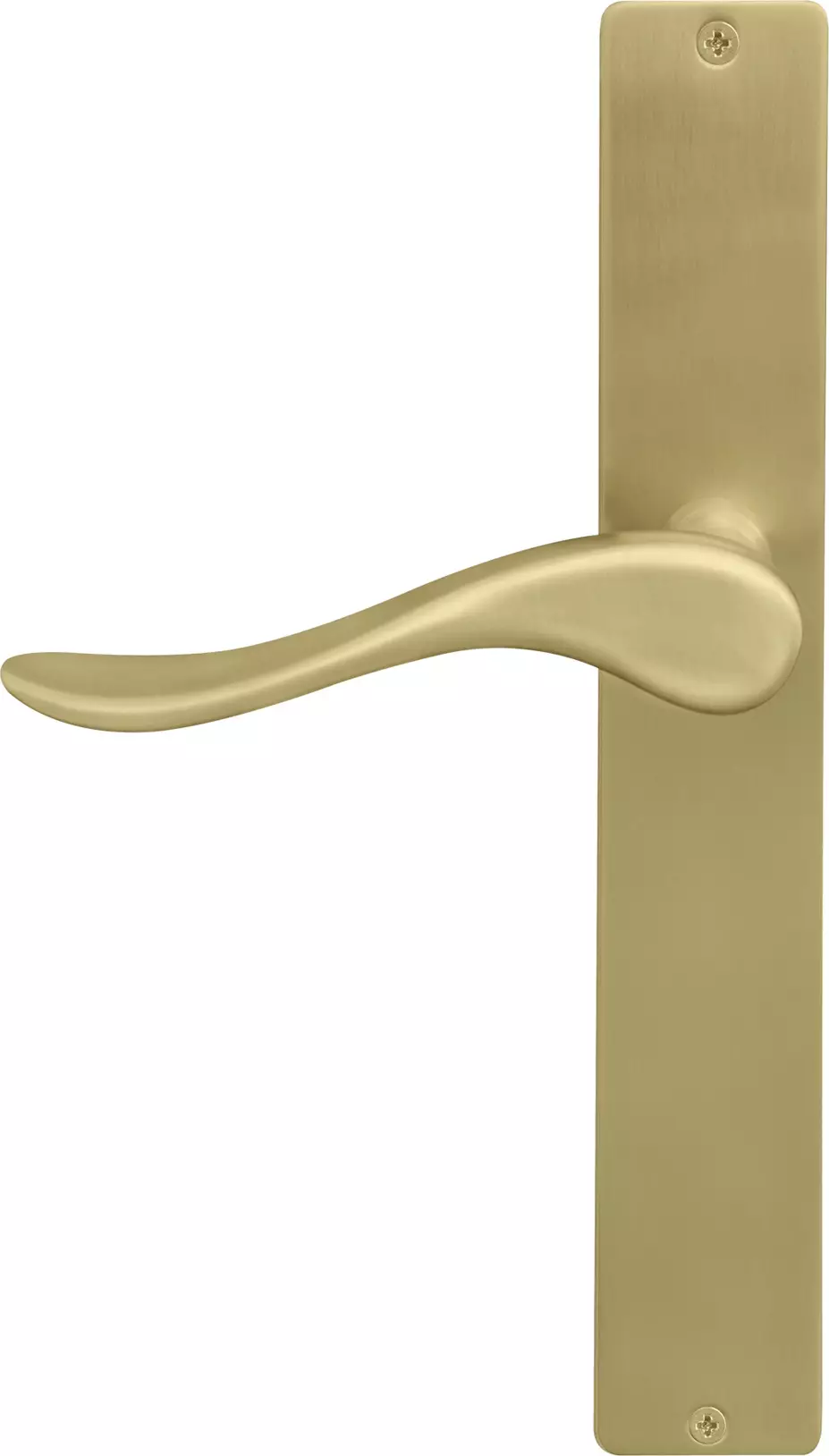 Haven Longplate Square Dummy Lever - RH - MSB