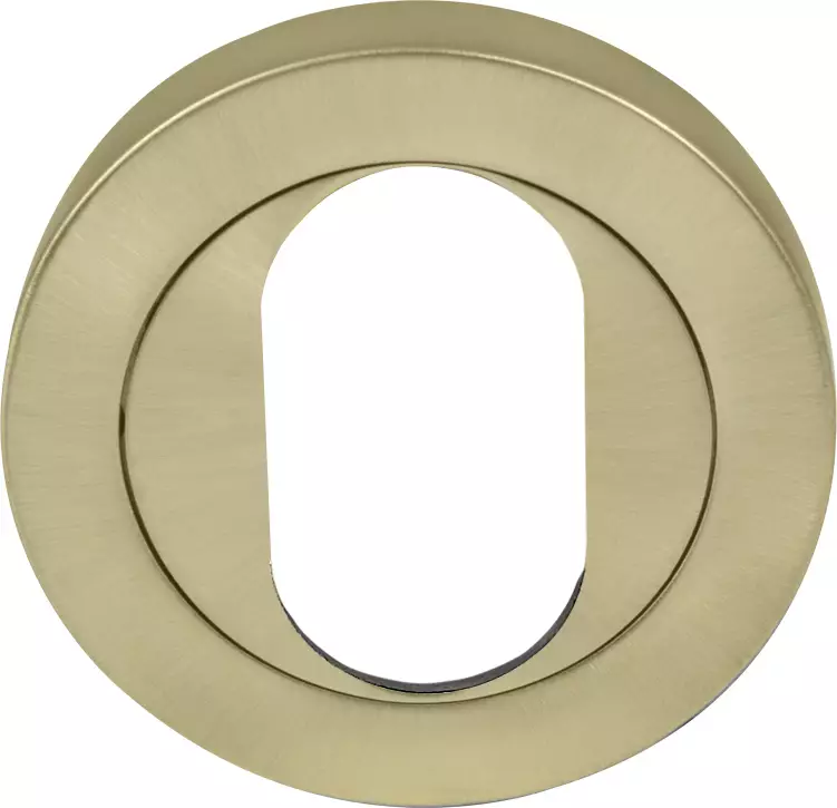 Oval Escutcheon - 50mm Rose - USB