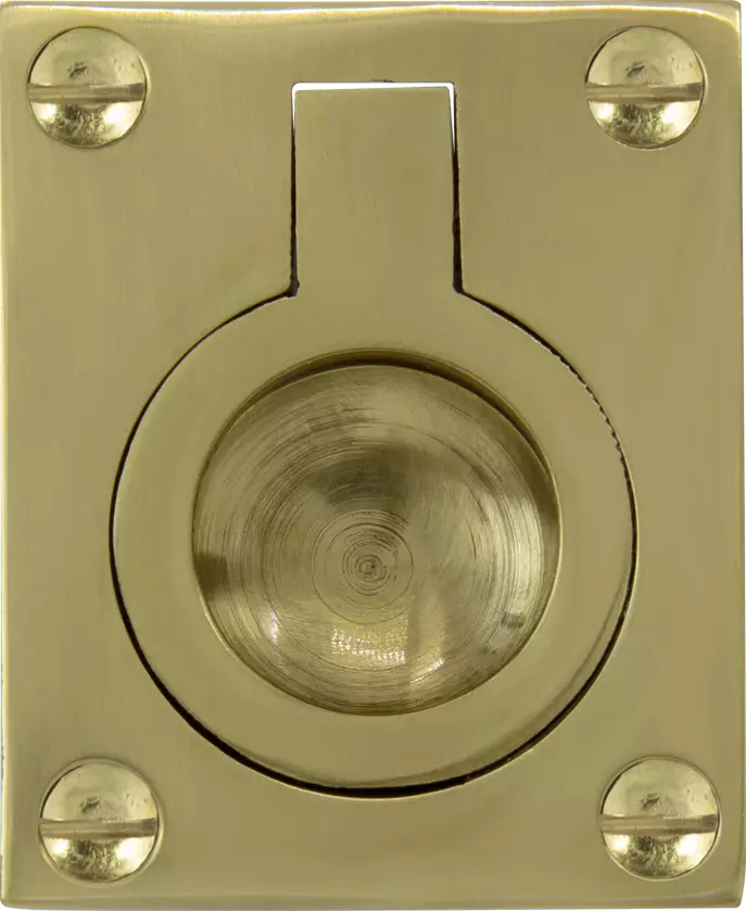 Flush Ring - 50 x 37mm - PB