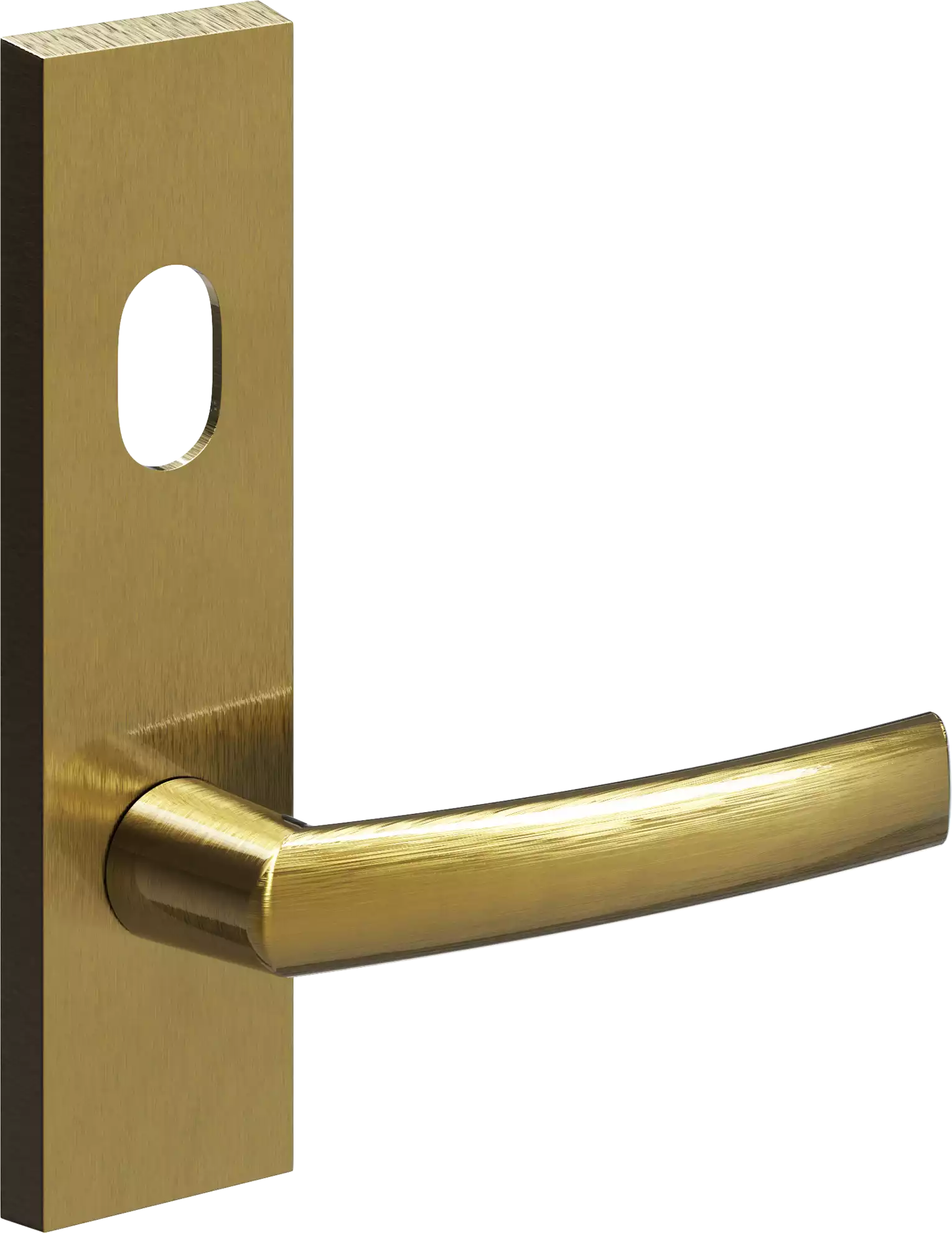 702 - Cisa - Ext Lev + Cyl Hole - SBU