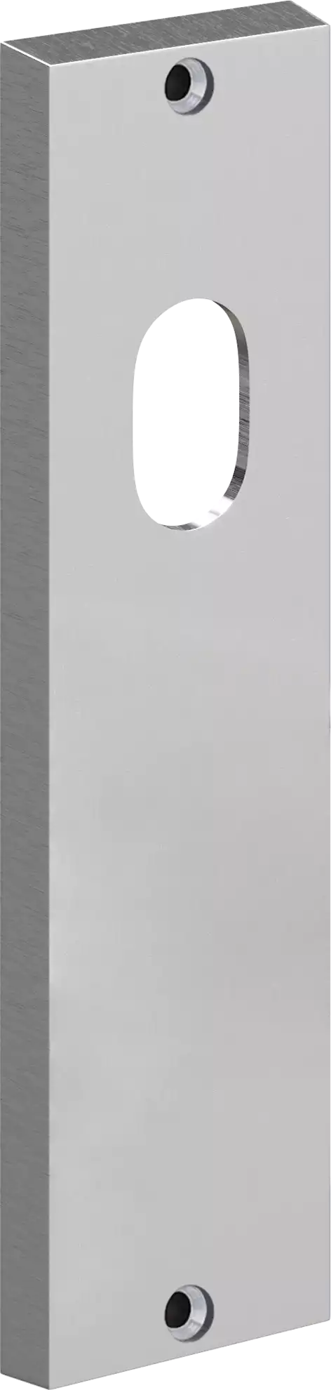 715 - Int Plate Only + Cyl Hole - SC