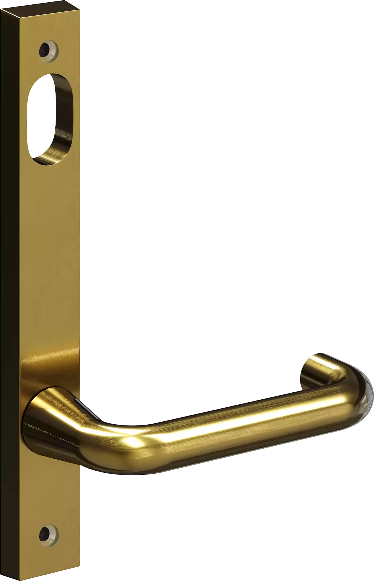 5301 - Alpha - Int Lever + Cyl Hole - SB