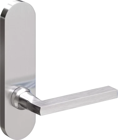503 - Renoir - Ext Lever Only - SC