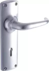 Fortune Std Keyhole Lock Handle Set - SC